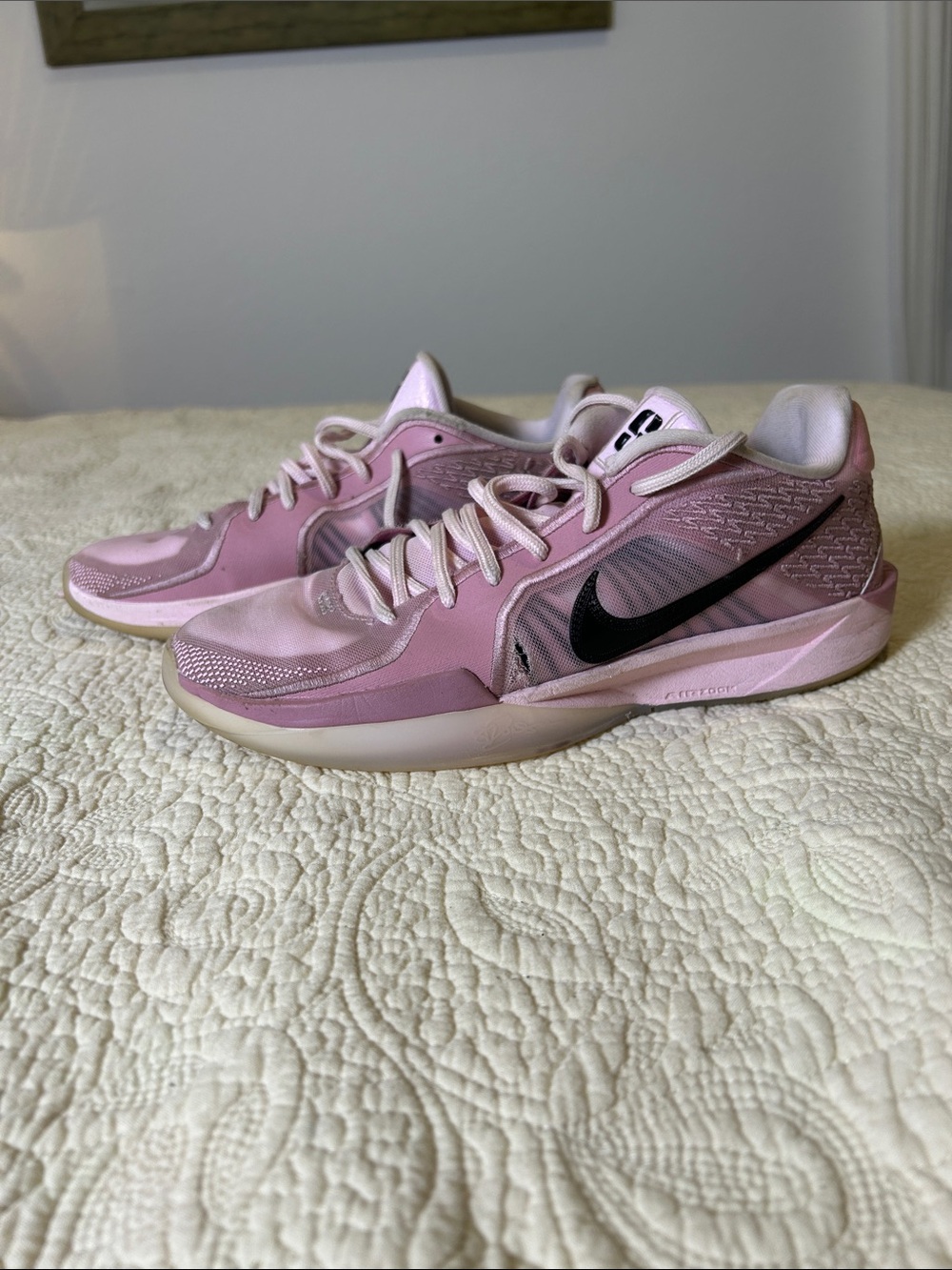 Nike Women’s Pink Low-Top Sneakers with Black Swoosh